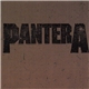 Pantera - Revolution Is My Name